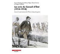 Les avis du Conseil d'État (1914-1918) Assurer la permanence de l'État en temps de guerre - Florent Garnier - Mare & Martin - broché - Etude