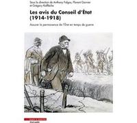 Les avis du Conseil d'État (1914-1918) Florent Garnier (Auteur), Anthony Falgas (Auteur), Grégory Kalfleche (Auteur)
