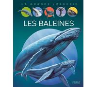 Les baleines - Agnès Vandewiele - Fleurus - cartonné - Document jeunesse