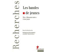 Les bandes de jeunes: Des " blousons noirs " à nos jours