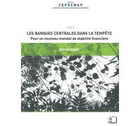 Les Banques Centrales Dans La Tempête - Pour Un Nouveau Mandat De Stabilité Financière