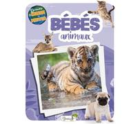 Les bébés animaux - Collectif - Grenouille - broché - Document jeunesse
