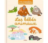 Les bébés animaux Stéphanie Redoulès (Auteur), Raphaëlle Michaud (Illustration), Ilaria Falorsi (Illustration)