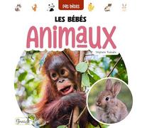Les bébés animaux - Stéphanie Redoulès - Grenouille - cartonné - Document jeunesse