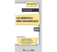 Les bénéfices non commerciaux: Les points clés pour connaître et comprendre les principes des bénéfices non commerciaux (2020)