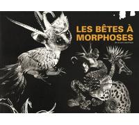 Les bêtes à morphoses : Art et soin psychique