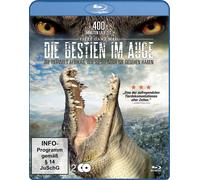 Les bêtes dans les yeux - La faune africaine comme vous ne l'avez jamais vue