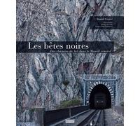 Les bêtes noires: Des chemins de fer dans le Massif central