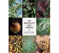 Les bienfaits des arbres Reconnaître, récolter, cuisiner et se soigner - Christophe de Hody - Epa Eds - broché - Beau livre