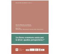 Les Biens Communs Saisis Par Le Droit : Quelles Perspectives ? - 62 Actes Du Colloque Des 11 Et 12 Avril 2022, Université Paris Nanterre