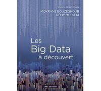 Les Big Data à découvert