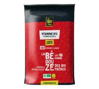 Les Bio Frères - Vitamine B12 - 3 formes : Methyl, Hydroxy et Adenosyl cobalamine - 365 comprimés à croquer - Goût pomme bio - 1 an de cure - Vegan