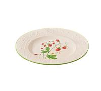 Les bols et les plats en céramique sous glaçure sont frais et exquis pour un usage domestique - Manoir de baies de 25,4 cm