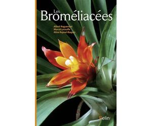 Les Broméliacées - Aline Raynal-Roques - Belin - relié - Guide