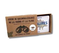 Les carnets de pierre - Carnet Les Dinosaures