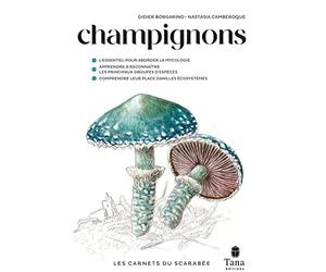 Les Carnets du Scarabée - Champignons - Guide pratique illustré des champignons : savoir où les chercher et comment les observer pour réussir à les identifier. Exercices, astuces, tutos