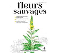 Les carnets du scarabée - Fleurs sauvages - Lucile Chapsal - Tana Editions - broché - Guide