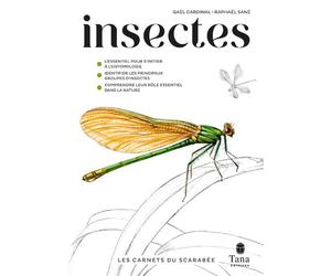 Les carnets du scarabée - Insectes - Gael Cardinal - Tana Editions - broché - Guide