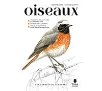 Les Carnets du Scarabée - Oiseaux - Guide pratique pour apprendre à observer les oiseaux, à les approcher et les identifier. Exercices de détermination, astuces, tutos