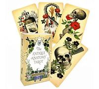 Les Cartes de Tarot Anatomie Antique,The Antique Anatomy Tarot Cards