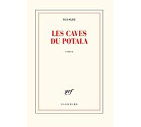 Les caves du Potala