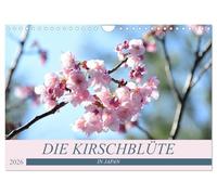 Les cerisiers en fleurs au Japon (Calendrier mural 2026 DIN A4 horizontal), CALVENDO calendrier mensuel