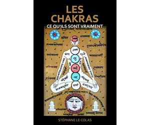 LES CHAKRAS : CE QU’ILS SONT VRAIMENT: Une explication brève mais concrète grâce aux apports de la science, du Tantra et de la psychologie moderne.