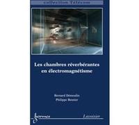 Les chambres réverbérantes en éléctromagnétisme Philippe Besnier (Auteur), Bernard Démoulin (Auteur)