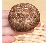 Les champignons comestibles secs de champignon d'hiver de shiitake sont délicieux (100g)