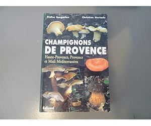 Les champignons de Provence (Haute-Provence, Provence et Midi Méditerranéen)