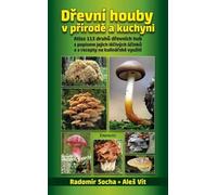 Les champignons des bois dans la nature et la cuisine