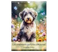 Les charmants caniches d'Aussied - Angelika Beuck (Calendrier mural 2026 DIN A4 horizontal), CALVENDO calendrier mensuel: Chaque mois, laissez-vous ... image d'Aussiedoodle créée par une IA.