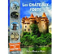 Les châteaux forts