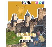 Les Châteaux Forts En Questions