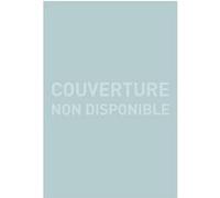 Jean Mesqui – Les châteaux forts : De la guerre à la paix – Gallimard – Poche