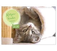 Les chatons - des êtres magiques, Version française (Calendrier mural 2026 DIN A4 portrait), Calendrier CALVENDO mensuel