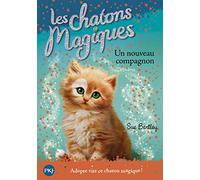 Les chatons magiques - tome 19 : Un nouveau compagnon
