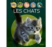 Agnès Vandewiele – Les chats – Document jeunesse dès 6 ans – Cartonné