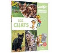 Anouk Journo – Les chats – Ludoc : découvrir et collectionner – cartonné (Document jeunesse)