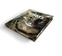 Les chats dans la peinture - Caroline Larroche - Hazan Eds - relié - Beau livre