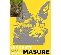 LES CHATS VU PAR BRUNO MASURE