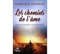 Les chemins de l'âme - De son incarnation à sa réincarnation