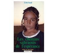 Les chemins sahraouis de l'espérance - Zeïn Saad - L'harmattan - broché - Essai