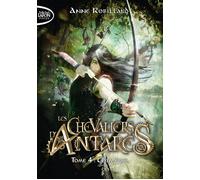 Les Chevaliers d'Antarès - tome 4 Chimères - Anne Robillard - Michel Lafon Poche - Poche - Roman adolescent