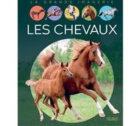 Les chevaux Agnès Vandewiele (Auteur)