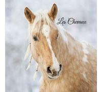Les Chevaux: Album passion - Des photos époustouflantes de chevaux - format 21X21cm - intérieur couleur - qualité intense - souple