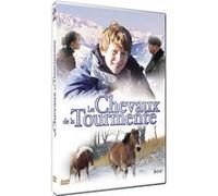 Les Chevaux de la tourmente