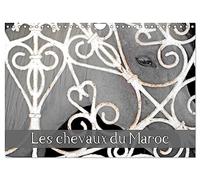 Les chevaux du Maroc (Calendrier mural 2026 DIN A4 horizontal), CALVENDO calendrier mensuel
