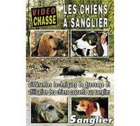 Les chiens a sanglier - Chasse du grand gibier - Vidéo Chasse G