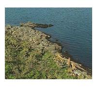 Les chiens courants : Education et conduite - DVD Documentaire - CHIENS - Vidéotel G